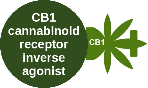 CB1 cannabinoid receptor inverse agonist — mechanism peg (Ballicules)
