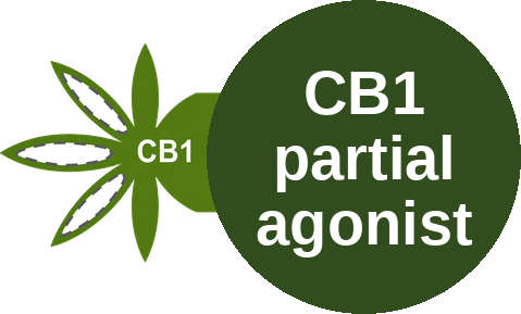 Cannabinoid CB1 receptor partial agonist — mechanism peg (Ballicules)
