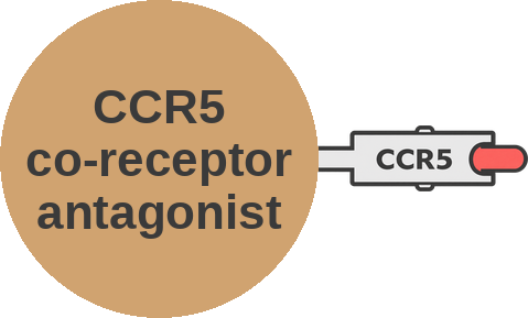 CCR5 co-receptor antagonist — mechanism peg (Ballicules)