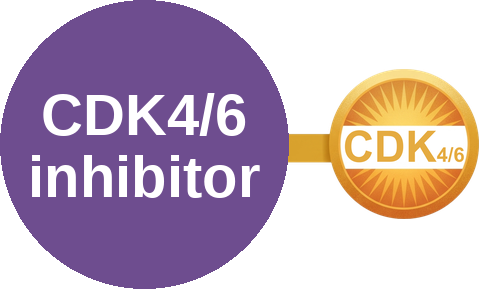 CDK4/6 inhibitor — mechanism peg (Ballicules)
