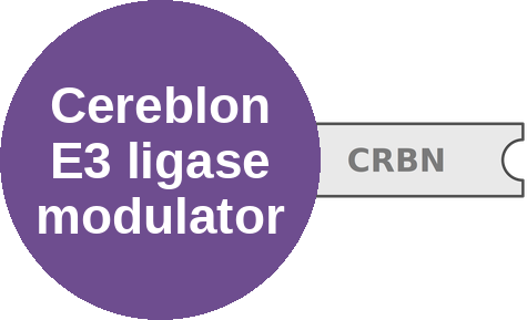 Cereblon E3 ligase modulator — mechanism peg (Ballicules)