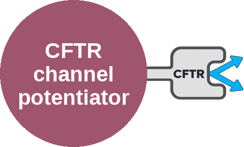 CFTR channel potentiator — mechanism peg (Ballicules)