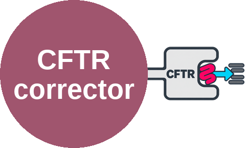 CFTR corrector — mechanism peg (Ballicules)