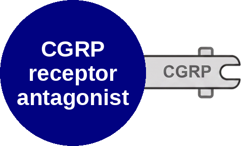 CGRP receptor antagonist — mechanism peg (Ballicules)