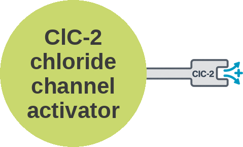 ClC-2 chloride channel activator — mechanism peg (Ballicules)