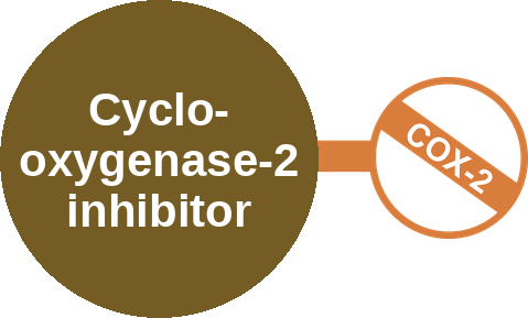 Cyclooxygenase-2 inhibitor — mechanism peg (Ballicules)