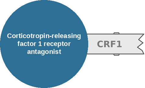 Corticotropin-releasing factor 1 receptor antagonist — mechanism peg (Ballicules)