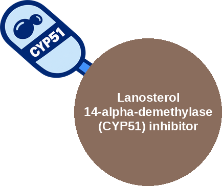 Lanosterol 14-alpha-demethylase (CYP51) inhibitor — mechanism peg (Ballicules)