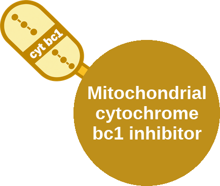Mitochondrial cytochrome bc1 inhibitor — mechanism peg (Ballicules)