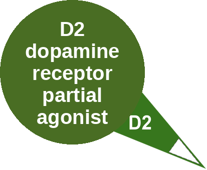 D2 dopamine receptor partial agonist — mechanism peg (Ballicules)