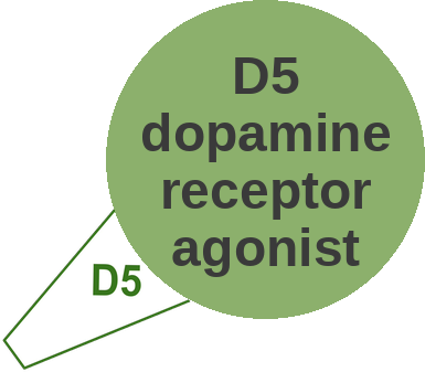 D5 dopamine receptor agonist — mechanism peg (Ballicules)