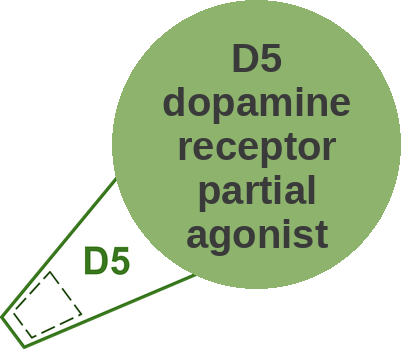D5 dopamine receptor partial agonist — mechanism peg (Ballicules)