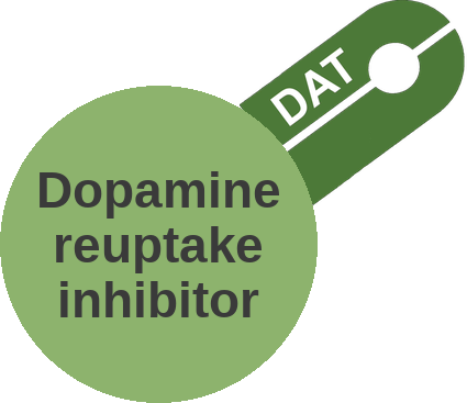 Dopamine reuptake inhibitor — mechanism peg (Ballicules)