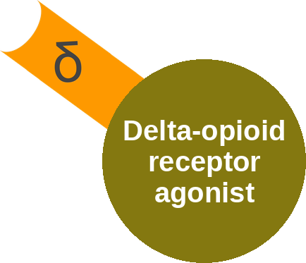 Delta-opioid receptor agonist — mechanism peg (Ballicules)
