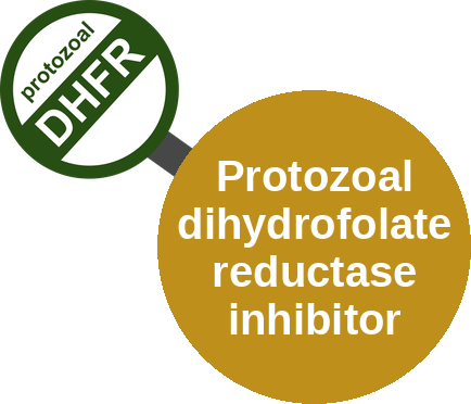 Protozoal dihydrofolate reductase inhibitor — mechanism peg (Ballicules)