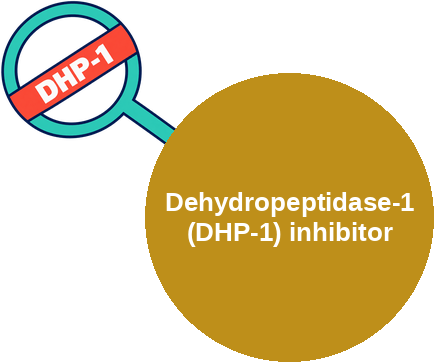 Renal dehydropeptidase-1 (DHP-1) inhibitor — mechanism peg (Ballicules)