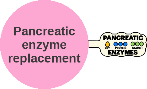 Pancreatic enzyme replacement — mechanism peg (Ballicules)