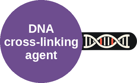 DNA cross-linking agent — mechanism peg (Ballicules)