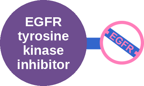 EGFR tyrosine kinase inhibitor — mechanism peg (Ballicules)