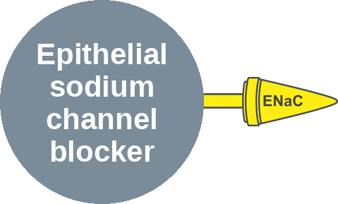 Epithelial sodium channel blocker — mechanism peg (Ballicules)