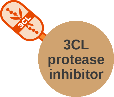3CL protease inhibitor — mechanism peg (Ballicules)