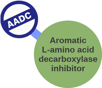 Aromatic L-amino acid decarboxylase inhibitor — mechanism peg (Ballicules)