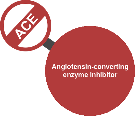 Angiotensin-converting enzyme inhibitor — mechanism peg (Ballicules)