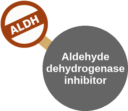 Aldehyde dehydrogenase inhibitor — mechanism peg (Ballicules)