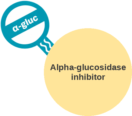 Alpha-glucosidase inhibitor — mechanism peg (Ballicules)