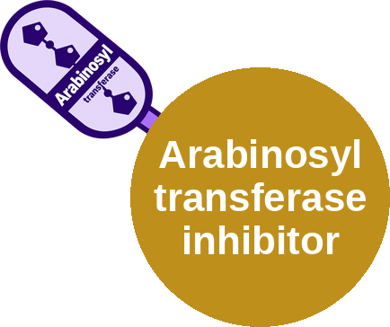 Arabinosyl transferase inhibitor — mechanism peg (Ballicules)