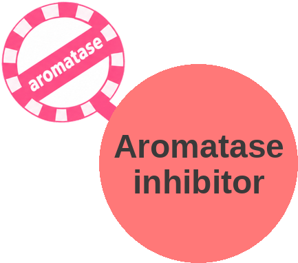 Aromatase inhibitor — mechanism peg (Ballicules)