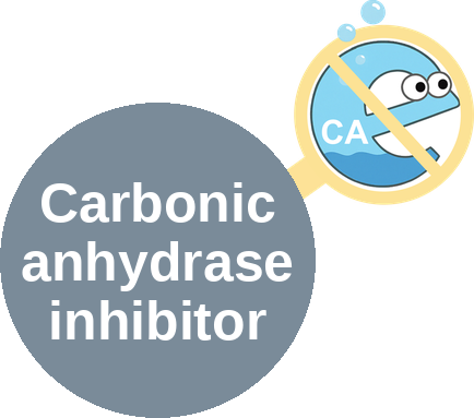 Carbonic anhydrase inhibitor — mechanism peg (Ballicules)