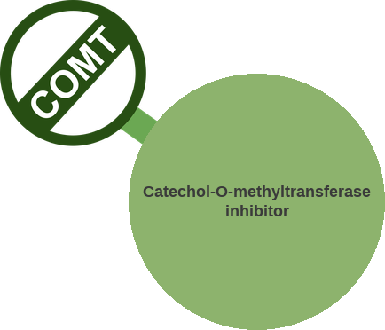 Catechol-O-methyltransferase inhibitor — mechanism peg (Ballicules)