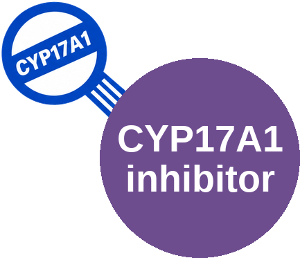 CYP17A1 inhibitor — mechanism peg (Ballicules)