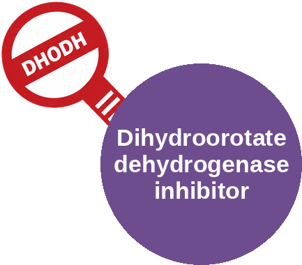 Dihydroorotate dehydrogenase inhibitor — mechanism peg (Ballicules)