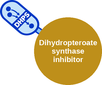 Dihydropteroate synthase inhibitor — mechanism peg (Ballicules)