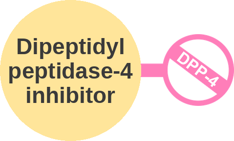 Dipeptidyl peptidase-4 inhibitor — mechanism peg (Ballicules)
