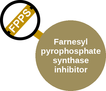 Farnesyl pyrophosphate synthase inhibitor — mechanism peg (Ballicules)