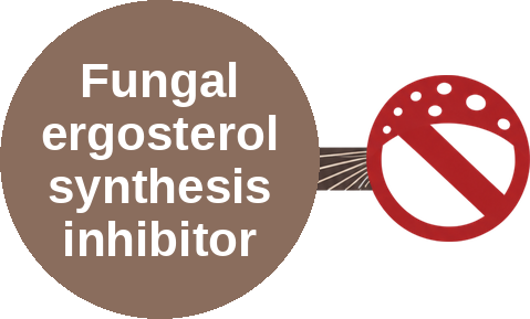 Fungal ergosterol synthesis inhibitor — mechanism peg (Ballicules)