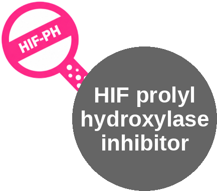 HIF prolyl hydroxylase inhibitor — mechanism peg (Ballicules)