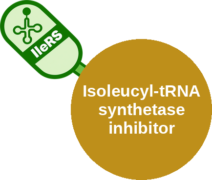 Isoleucyl-tRNA synthetase inhibitor — mechanism peg (Ballicules)