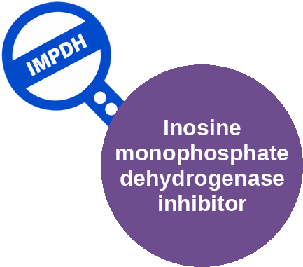 Inosine monophosphate dehydrogenase inhibitor — mechanism peg (Ballicules)