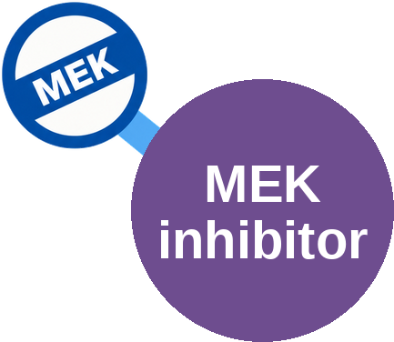 MEK inhibitor — mechanism peg (Ballicules)