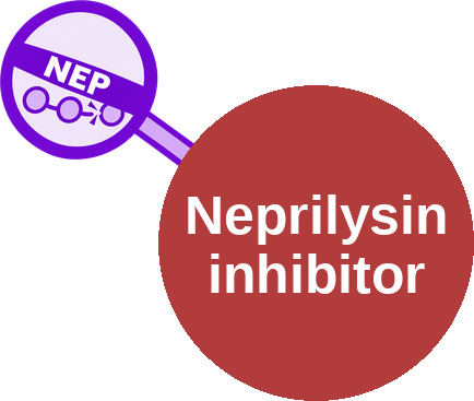 Neprilysin inhibitor — mechanism peg (Ballicules)