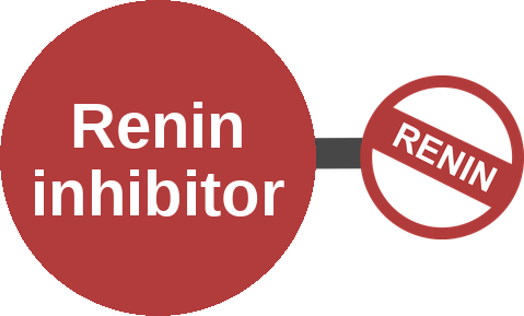 Renin inhibitor — mechanism peg (Ballicules)