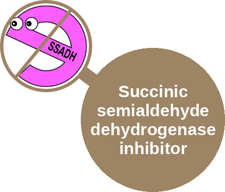 Succinic semialdehyde dehydrogenase inhibitor — mechanism peg (Ballicules)