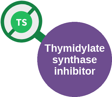 Thymidylate synthase inhibitor — mechanism peg (Ballicules)