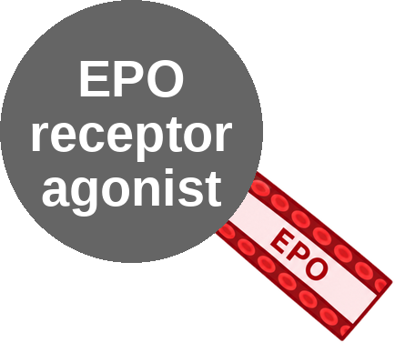 EPO receptor agonist — mechanism peg (Ballicules)