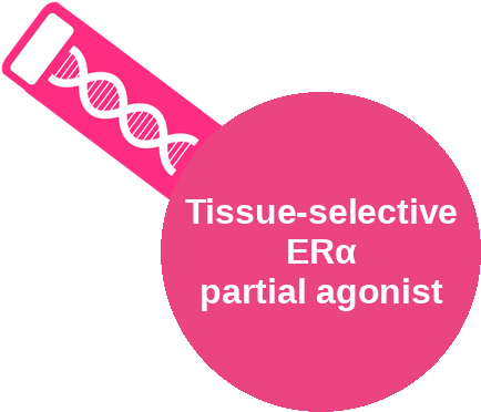 Tissue-selective estrogen receptor alpha (ERα) partial agonist — mechanism peg (Ballicules)