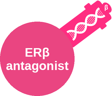 Estrogen receptor beta (ERβ) antagonist — mechanism peg (Ballicules)